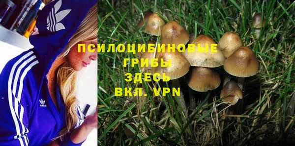 мдпв Лабытнанги