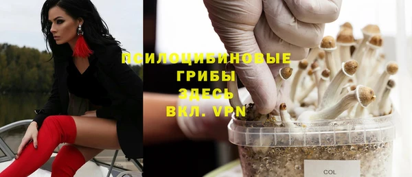 мдпв Лабытнанги