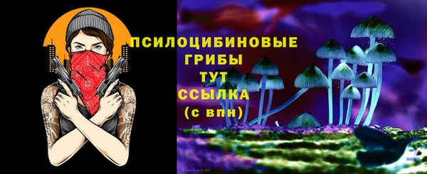 скорость Ладушкин