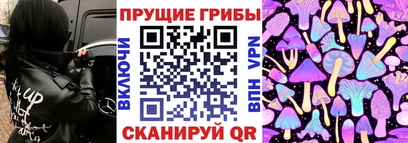 Купить где  Тула  Псилоцибиновые грибы GOLDEN TEACHER 
